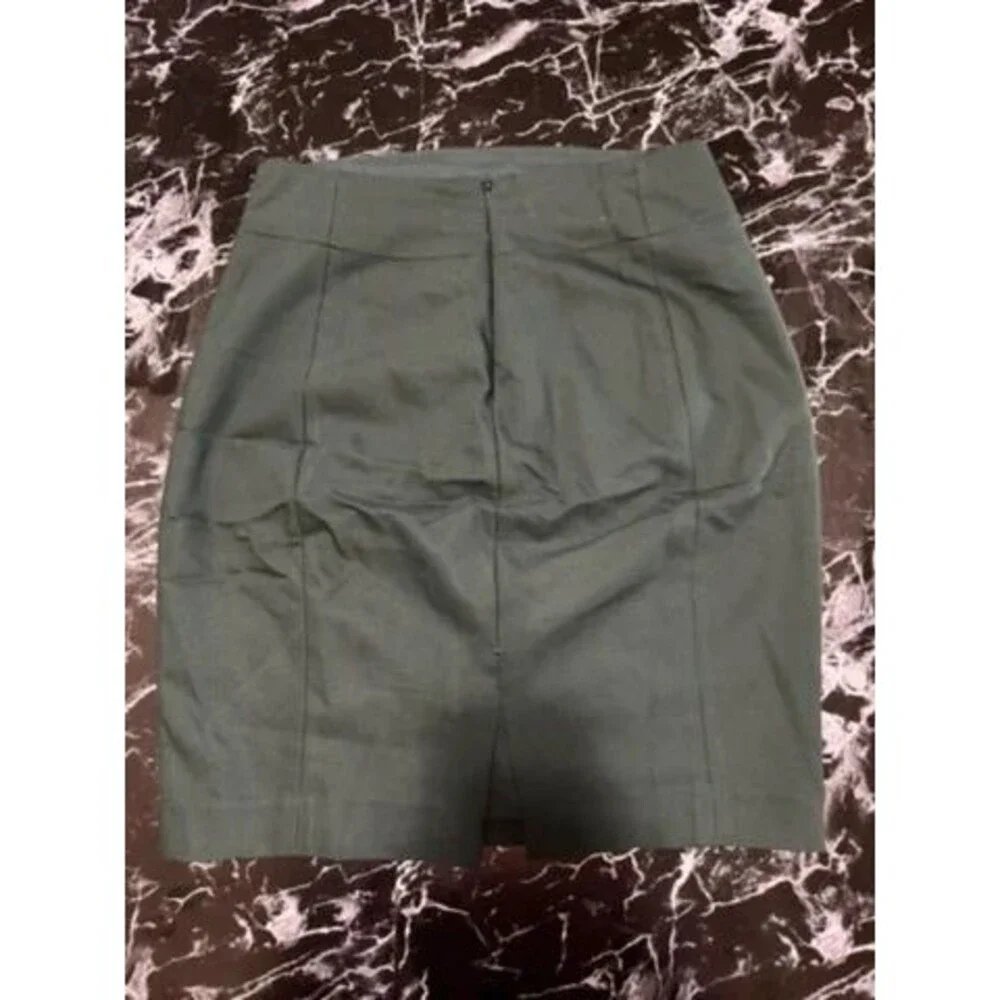 Express Pencil skirt
